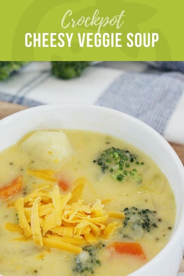 Crockpot Cheesy Vegetable Soup Healthy Ideas for Kids