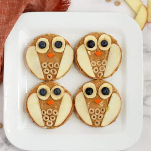 Owl Rice Cakes - Super Healthy Kids