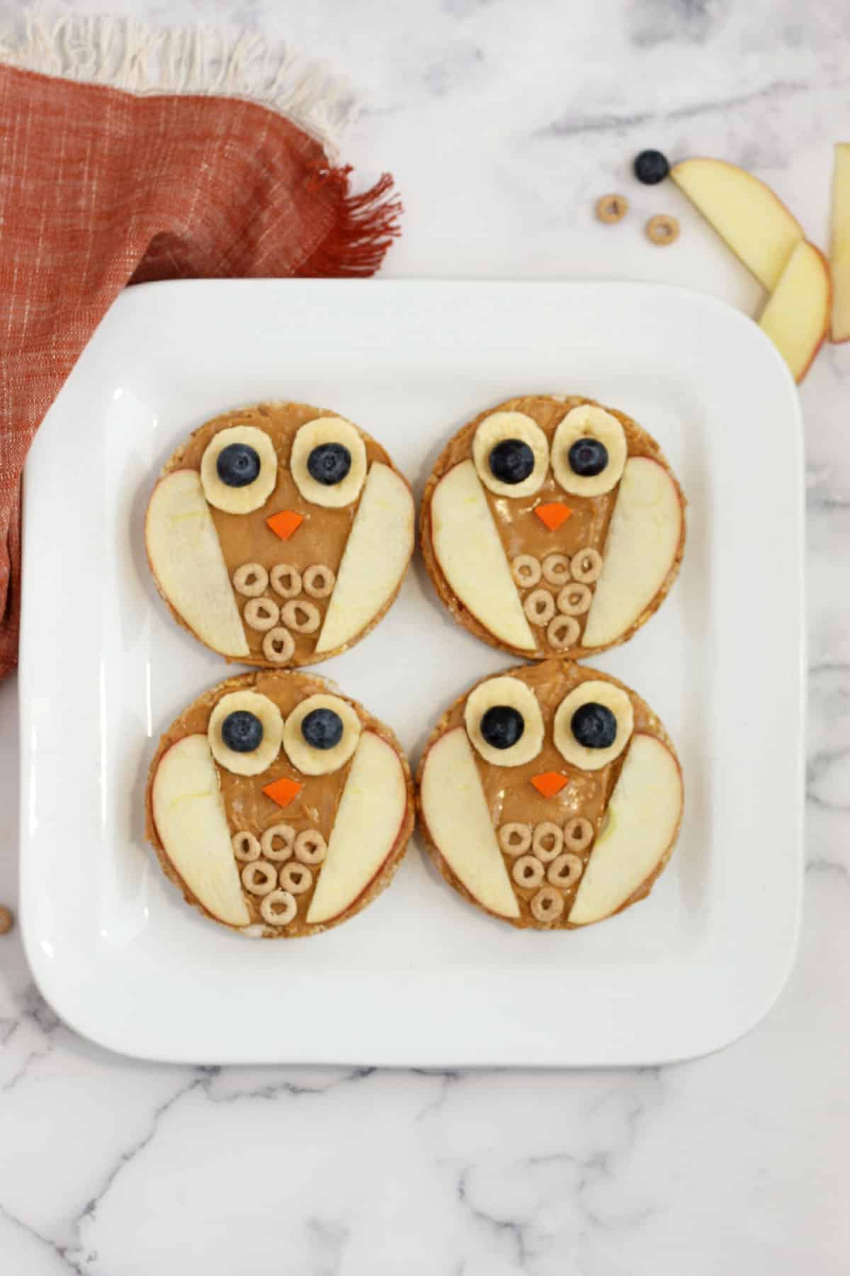 https://www.superhealthykids.com/wp-content/uploads/2018/07/owl-rice-cakes-1.jpg