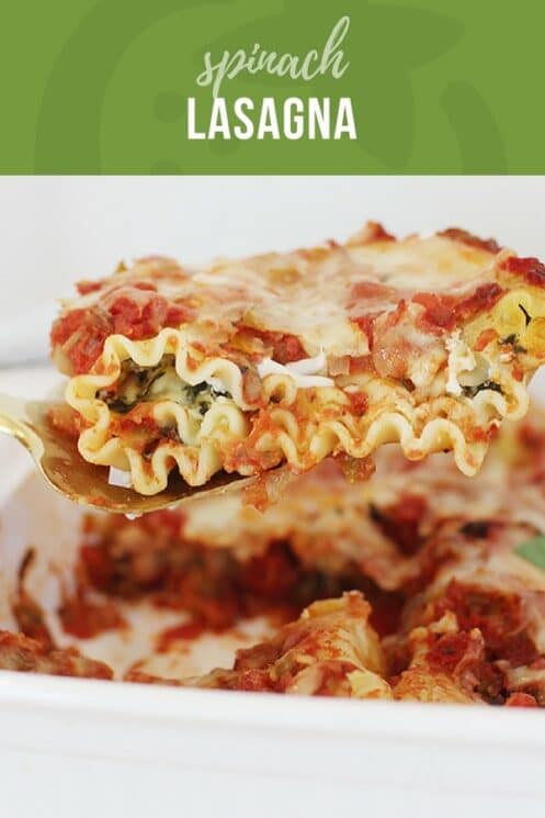 vegetarian spinach lasagna recipe