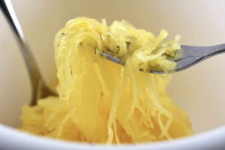 Spaghetti Squash Closeup