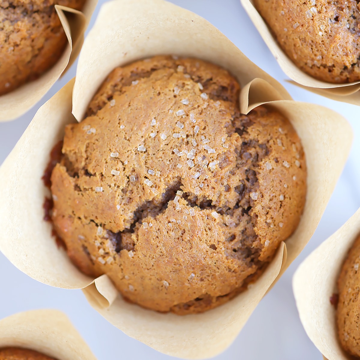 Gingerbread Muffins