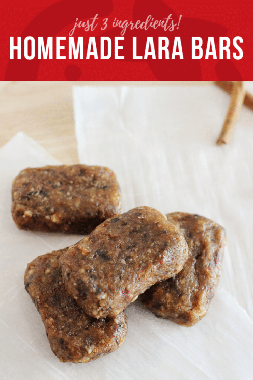 Homemade Lara Bars | Healthy Ideas and Recipes for Kids