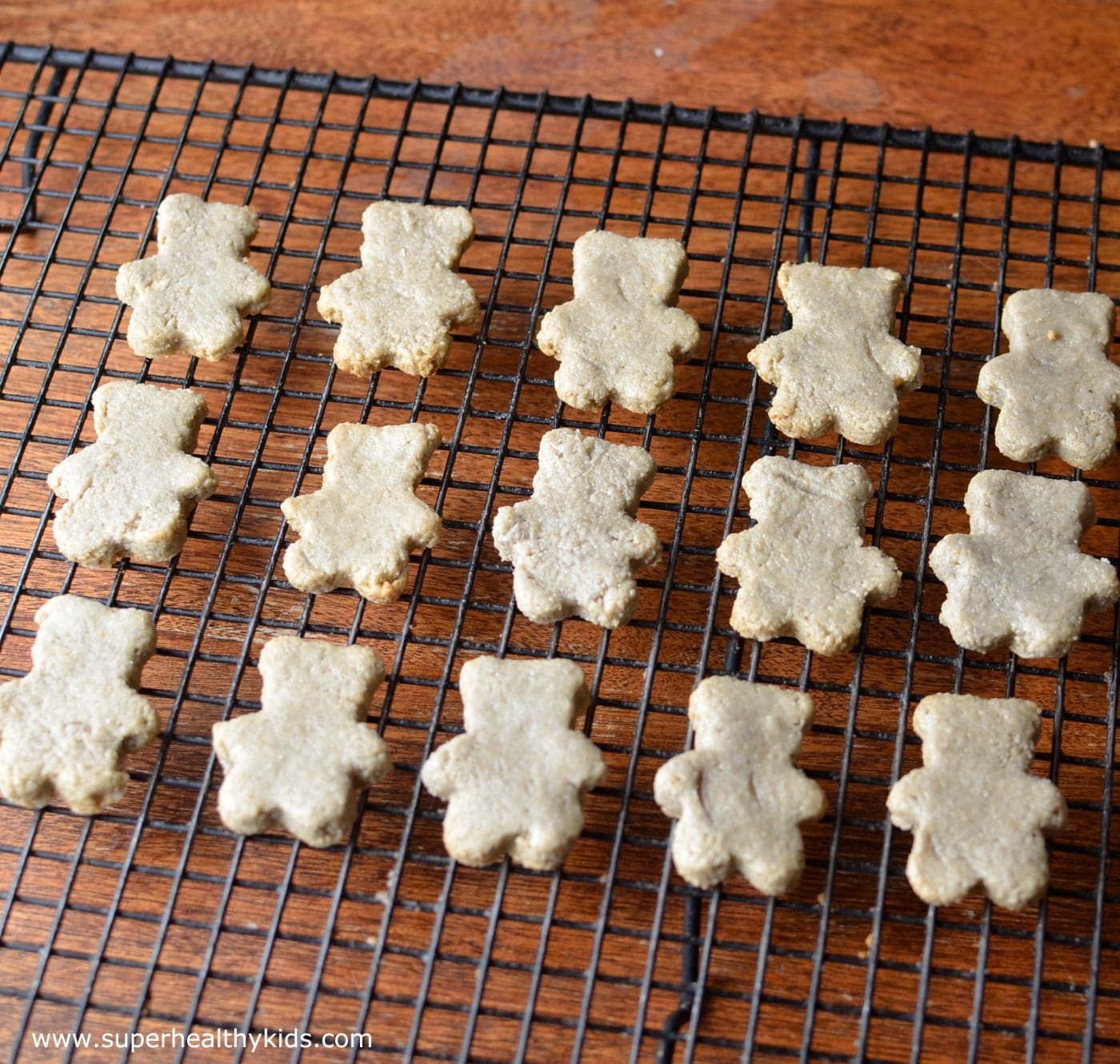 Animal Crackers Recipe {Nut Free, Dairy Free, Gluten Free} Super Healthy Kids