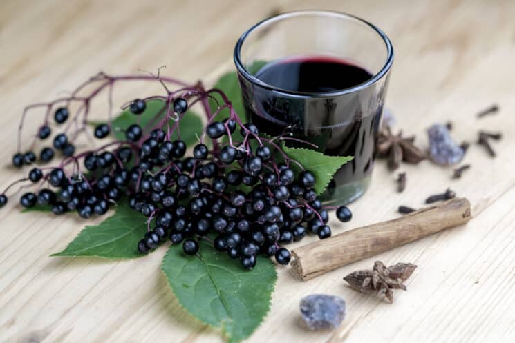 fresh elderberry branch with a glass of elderberry syrup on a wooden table