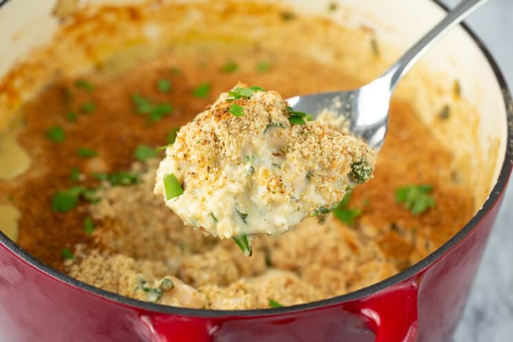 cheesy one pot chicken and rice on a spoon