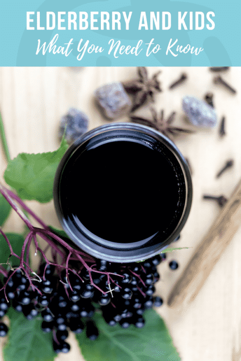 Elderberry And Kids What You Need To