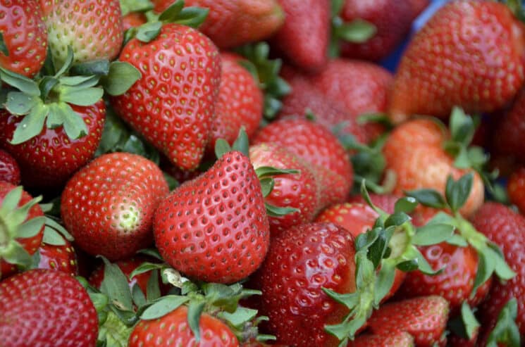 strawberries with stems on