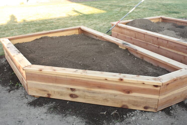How to Build Your Own Garden Boxes - Super Healthy Kids