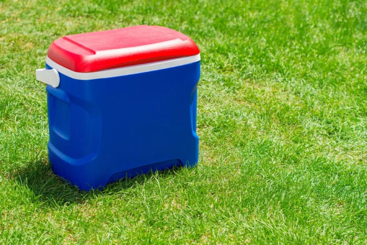 blue and red cooler in grass