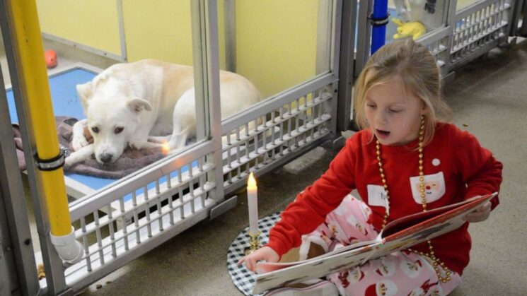 Girl reading a book to a dog in an animal shelter