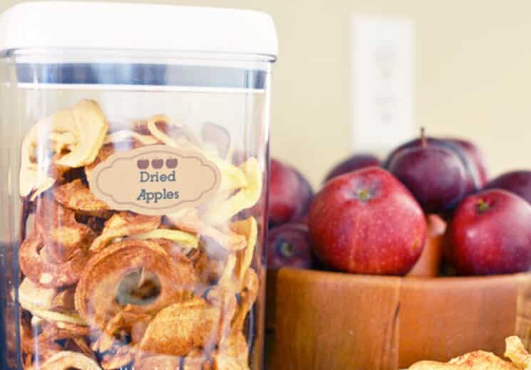 Cinnamon Sugar Dried apples in a air tight container with red apples in the background