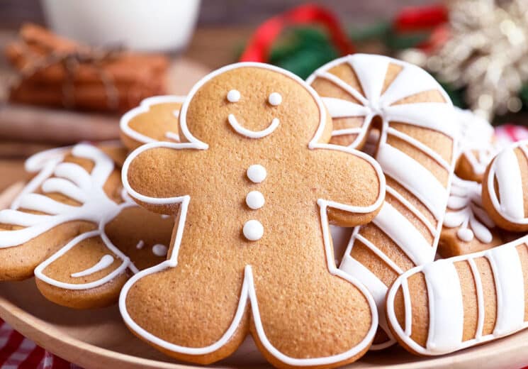 Delicious gingerbread cookies on plate, closeup