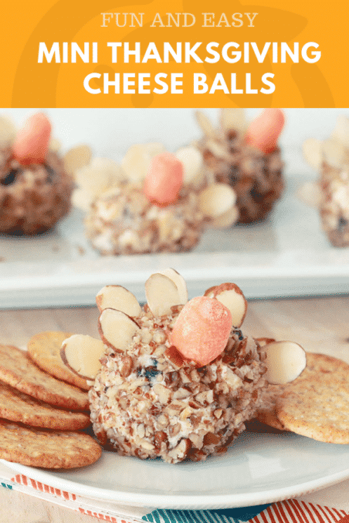 Mini Turkey Cheese Balls 5 Mini Cheese ball Pin 2 — Health, Kids