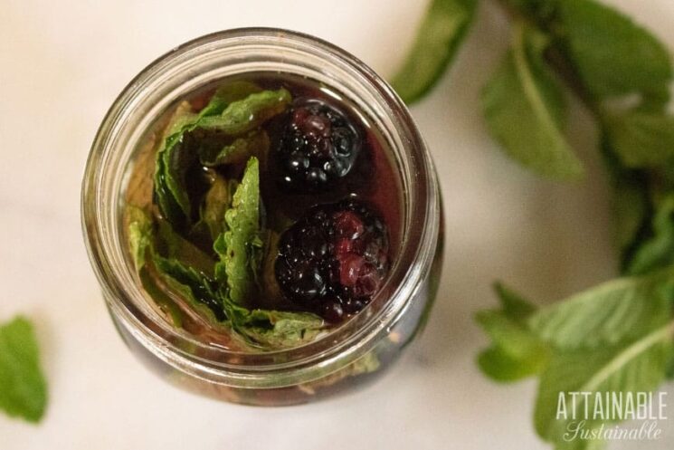 a clear jar with mint, vinegar and blackberries in it