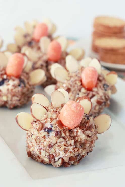 close up view of mini turkey cheese balls on a white tray