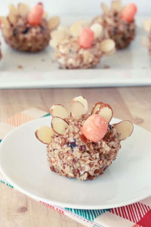 Mini Turkey Cheese Balls 2 turkeycheeseball4 — Health, Kids