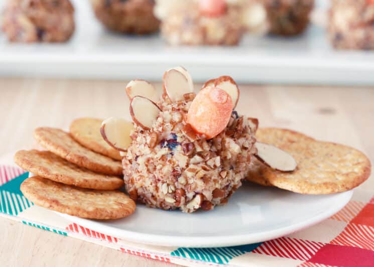 Mini Turkey Cheese Balls 1 mini festive turkey cheese ball on a white plate with crackers around it