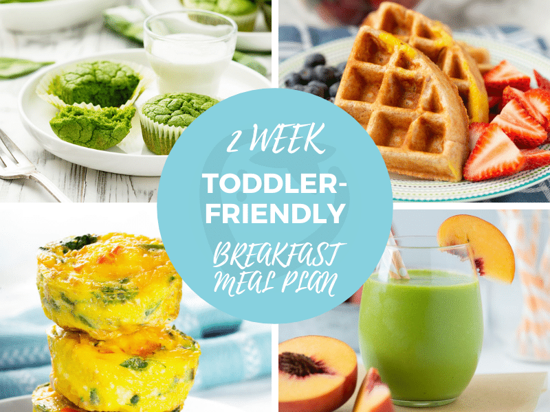 Toddler-Friendly Breakfast Meal Plan Toddler-Friendly Breakfast Meal Plan