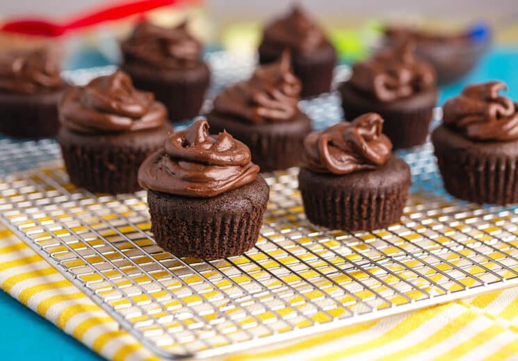 gluten free mini chocolate cupcakes with chocolate frosting on cooling rack