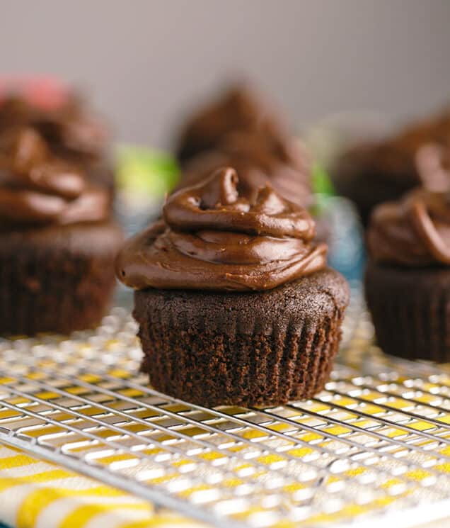 gluten free mini chocolate cupcake with chocolate frosting on cooling rack