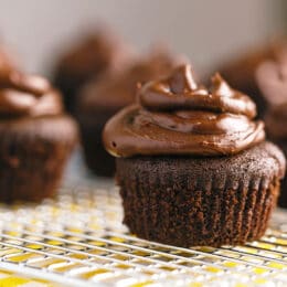 gluten free mini chocolate cupcake with chocolate frosting on cooling rack