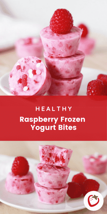Raspberry Frozen Yogurt Bites 5 Copy of shk Pinterest tall Pin 13 — Health, Kids