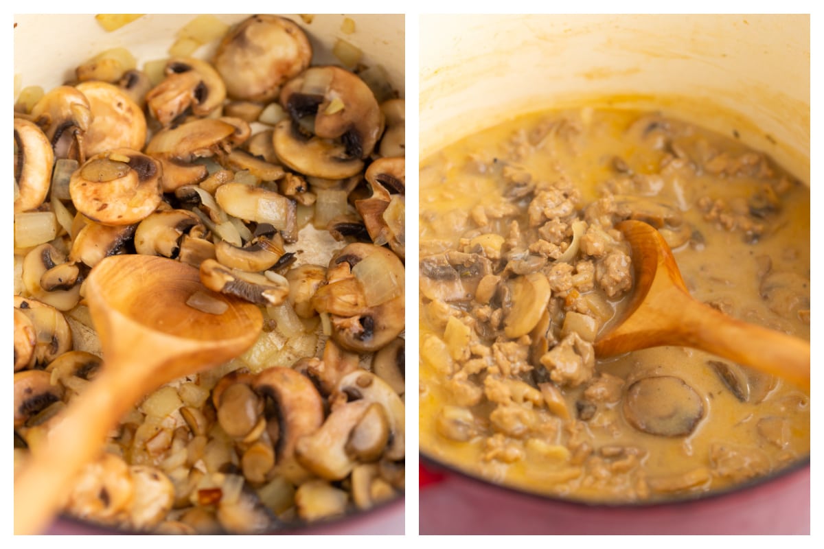 turkey stroganoff process — Health, Kids