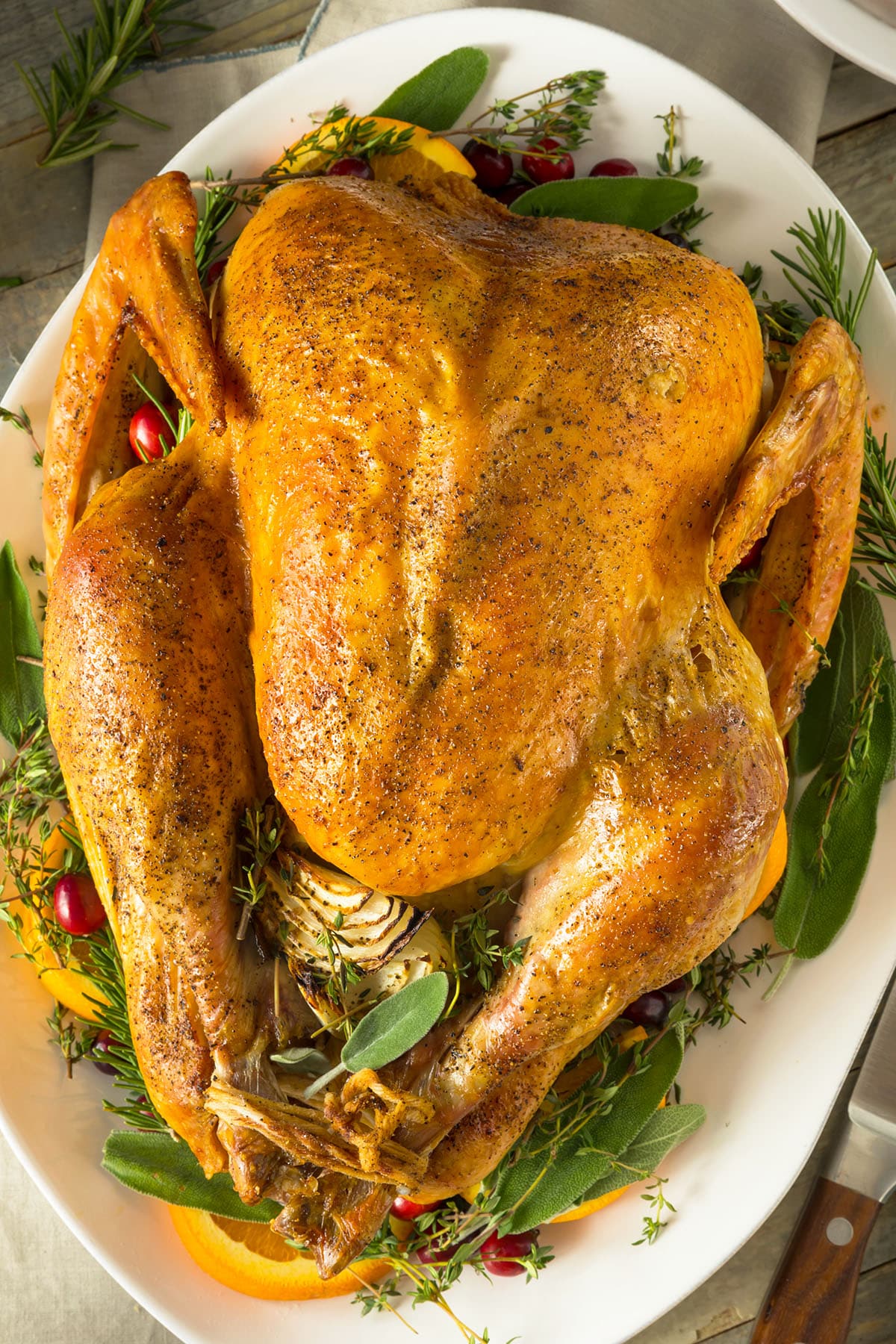 Easy Oven Roasted Turkey