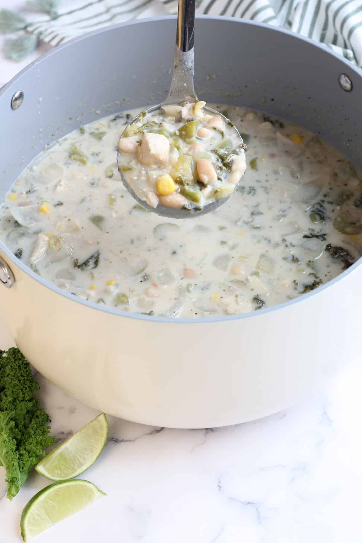 a large pot of white bean chicken chili