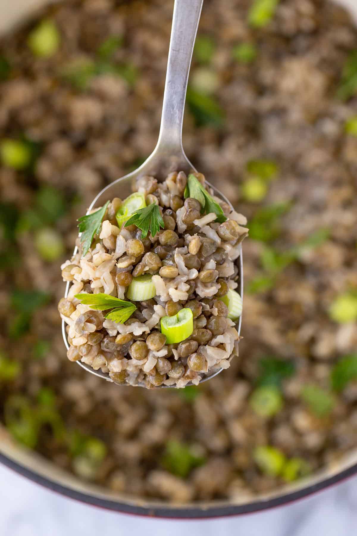 a closeup shot of brown lentils and rice over a pot