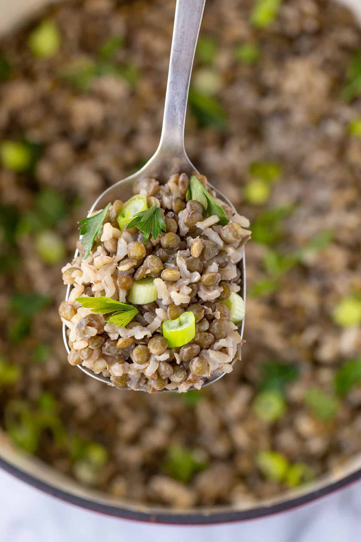 a closeup of brown lentils and rice over a saucepan