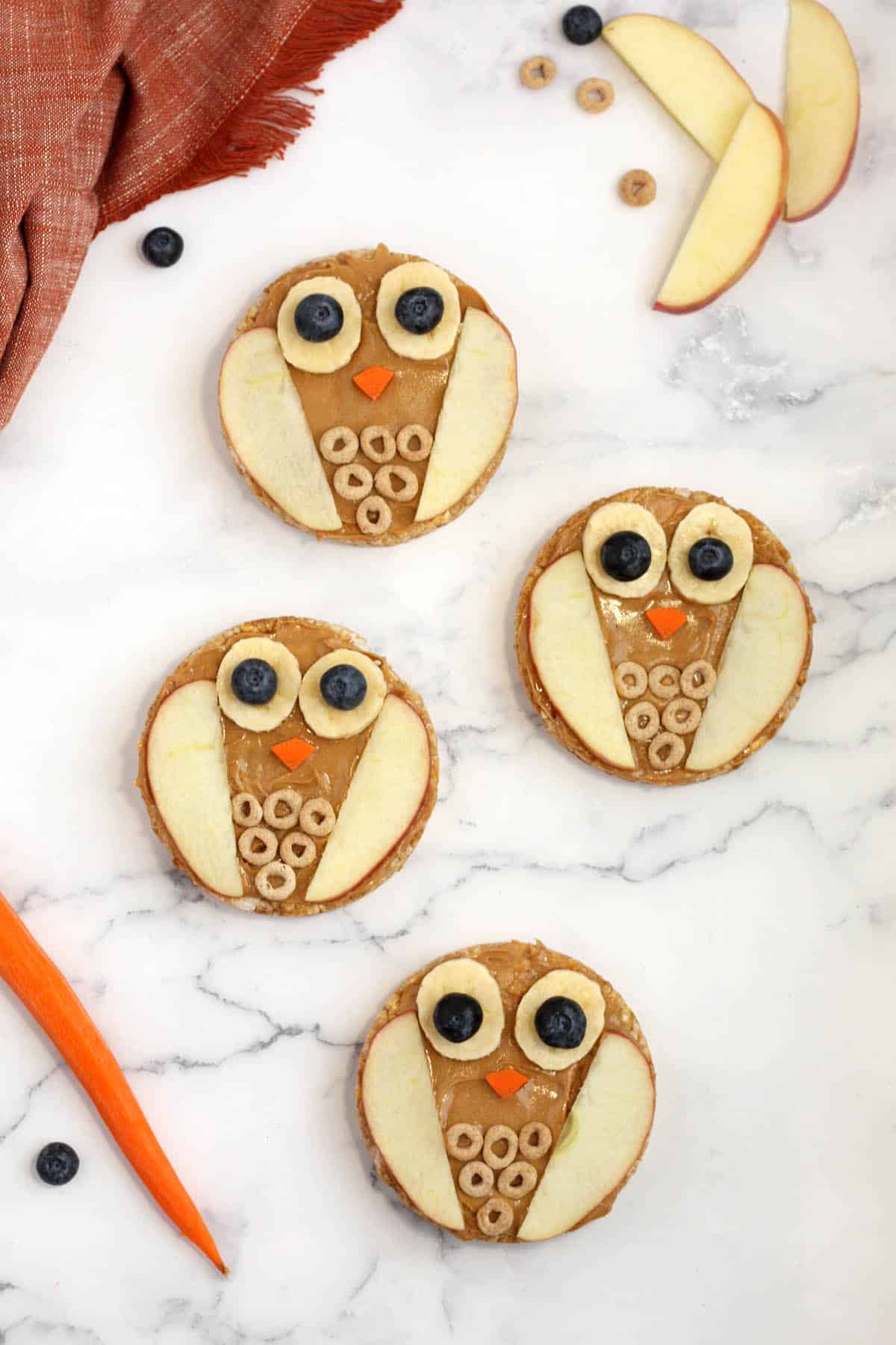 Owl Rice Cakes Super Healthy Kids