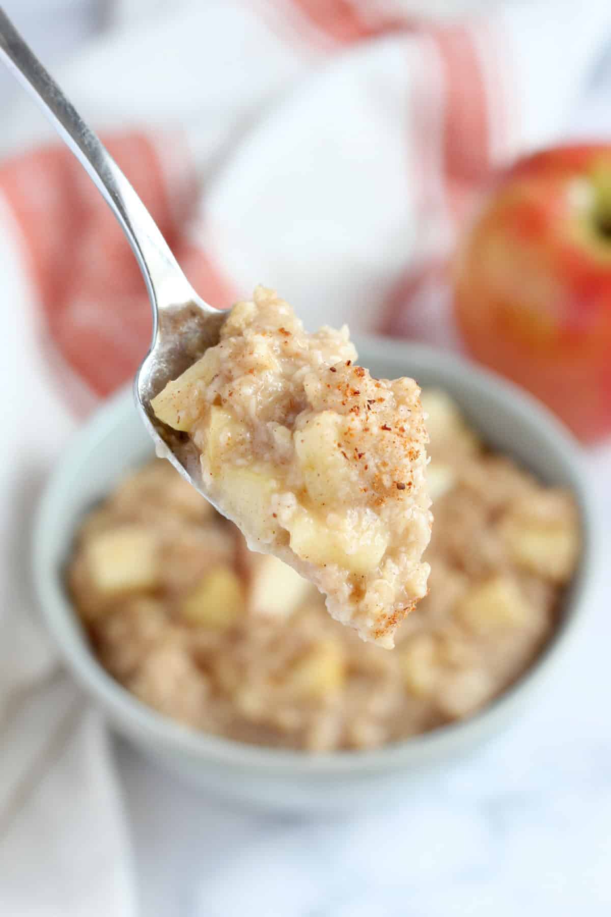 a spoonful of oatmeal with cinnamon