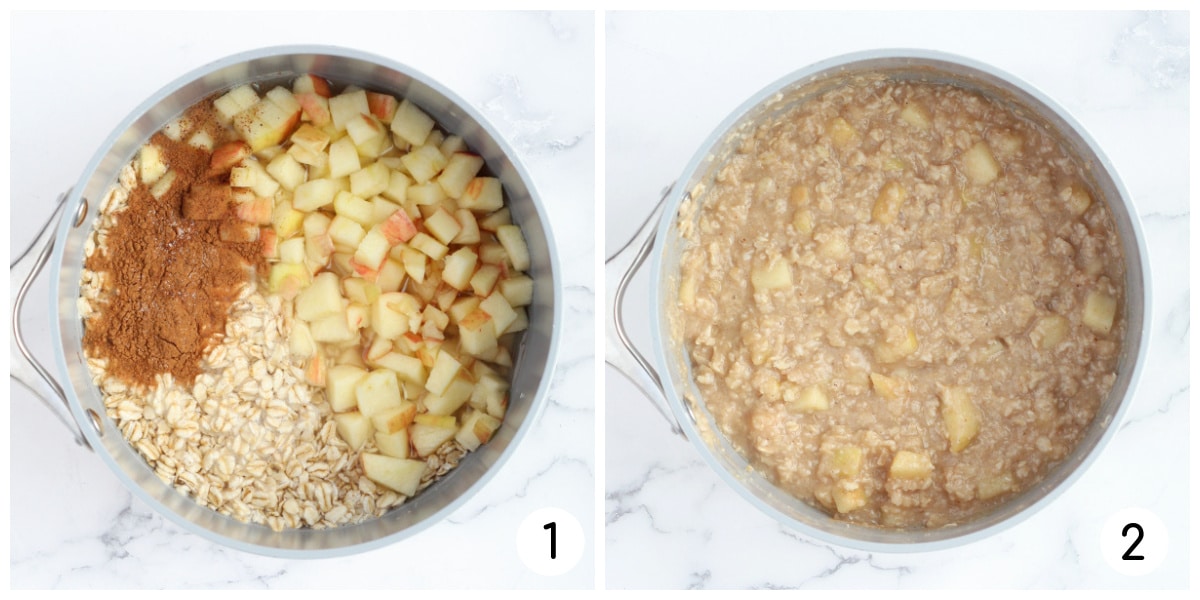 Process shots for the production of apple cinnamon oat flakes