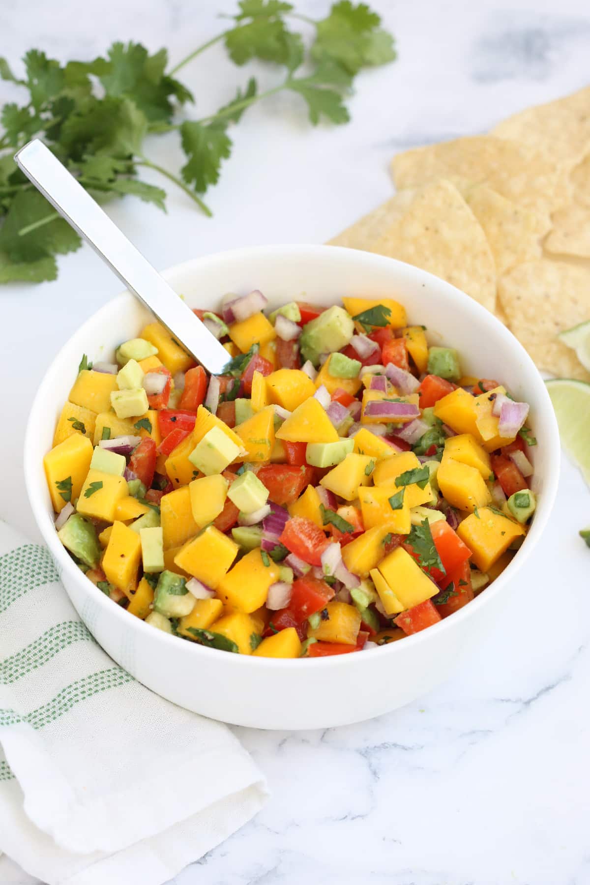 Fresh Mango Salsa - Super Healthy Kids