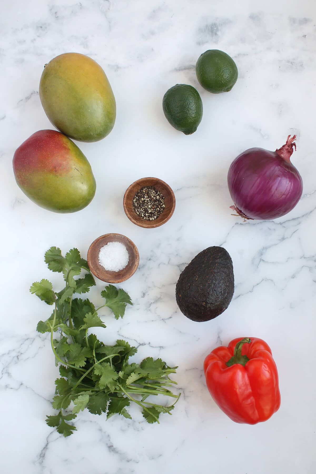 Ingredients for fresh mango salsa