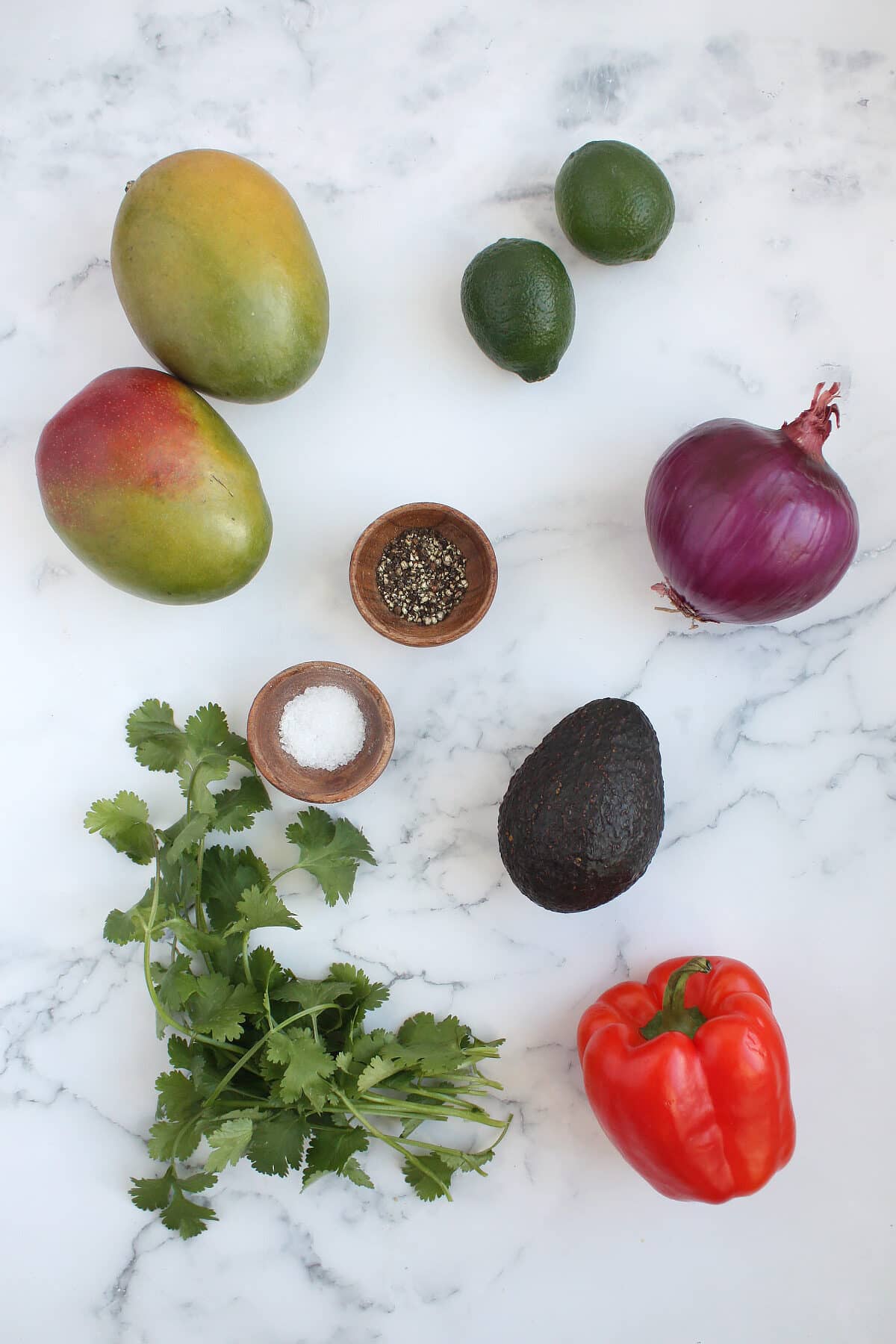 ingredients for fresh mango salsa