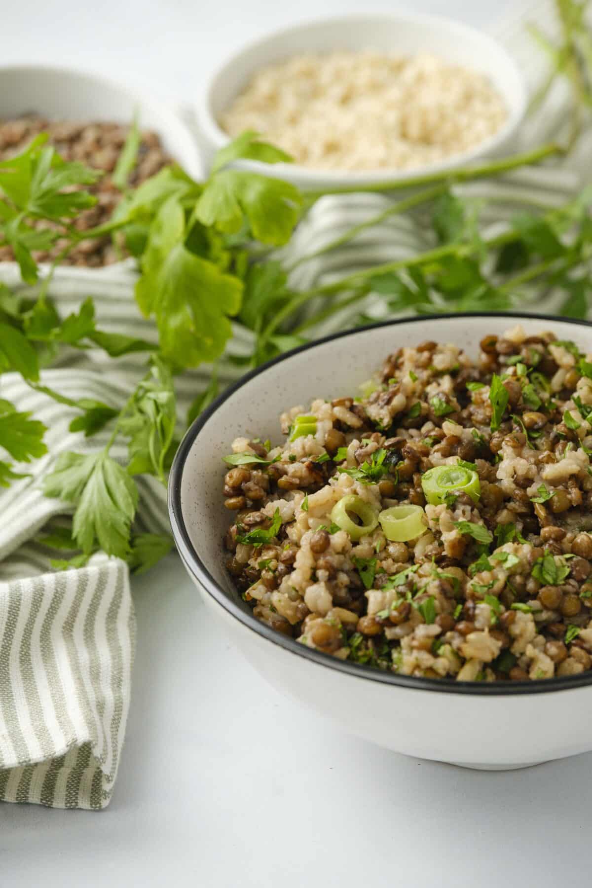 a bowl of lentils and rice topped with green onions