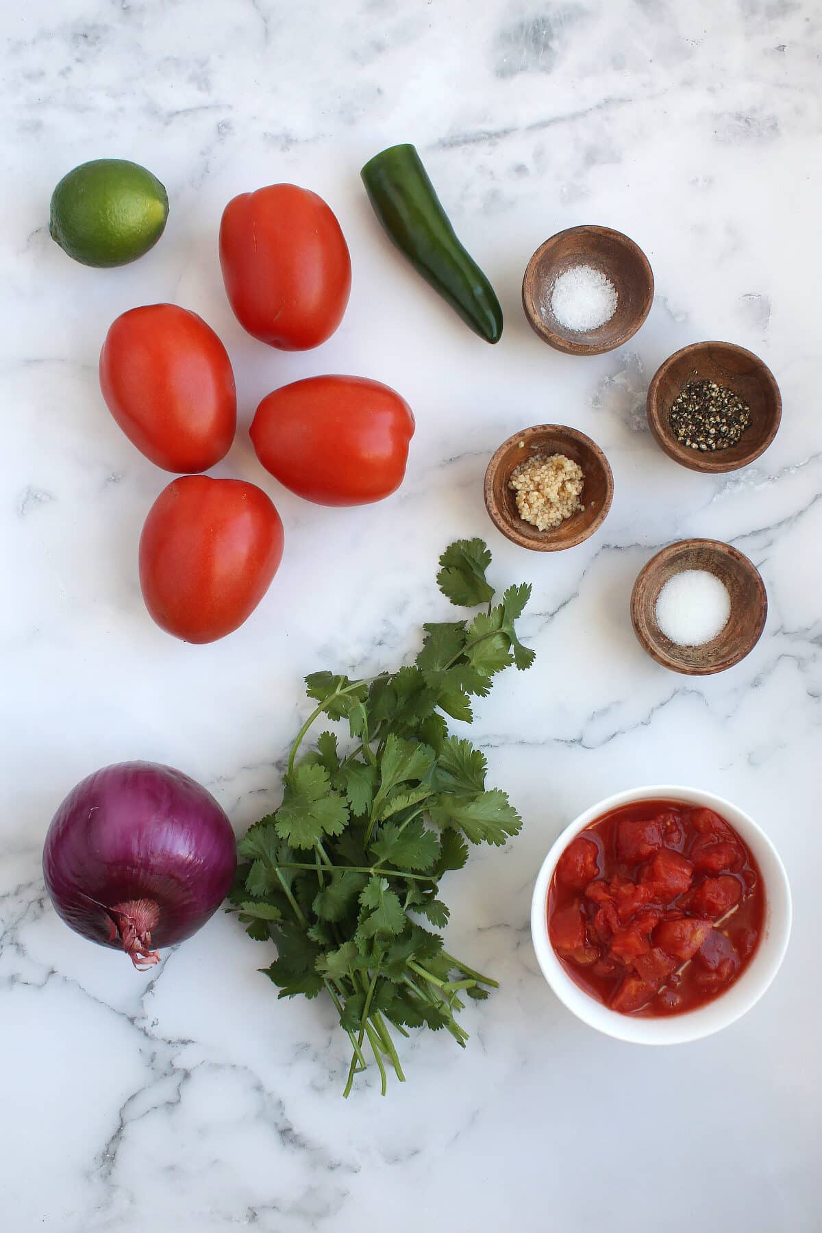 Ingredients for making homemade salsa