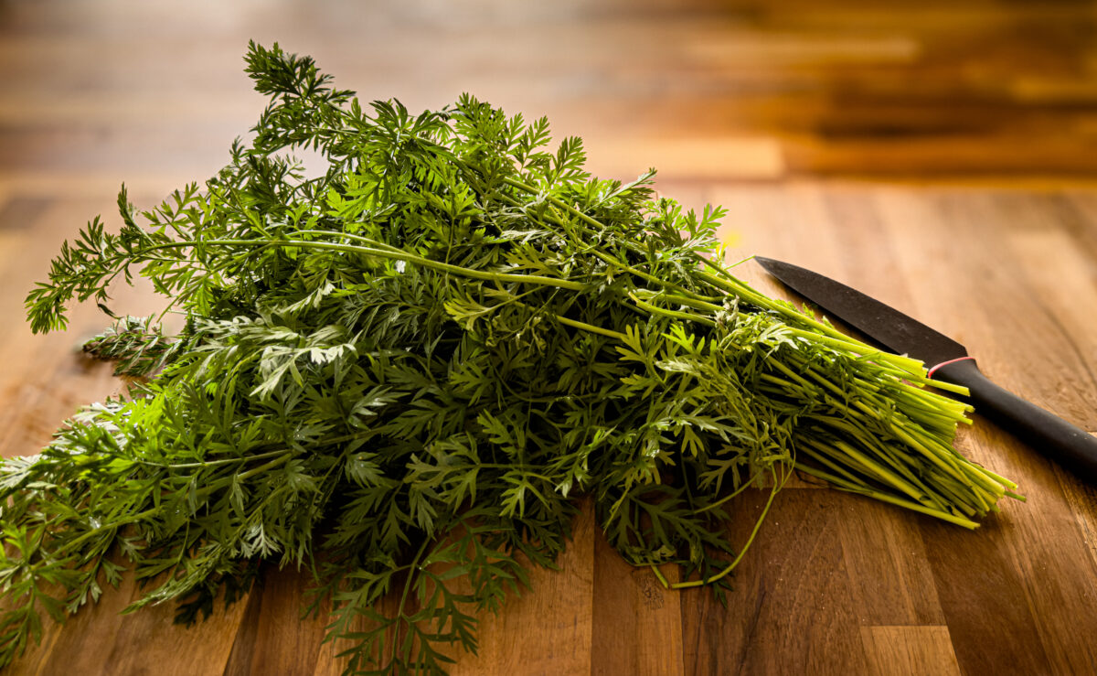 carrot tops on a wooden board with a kitchen knife