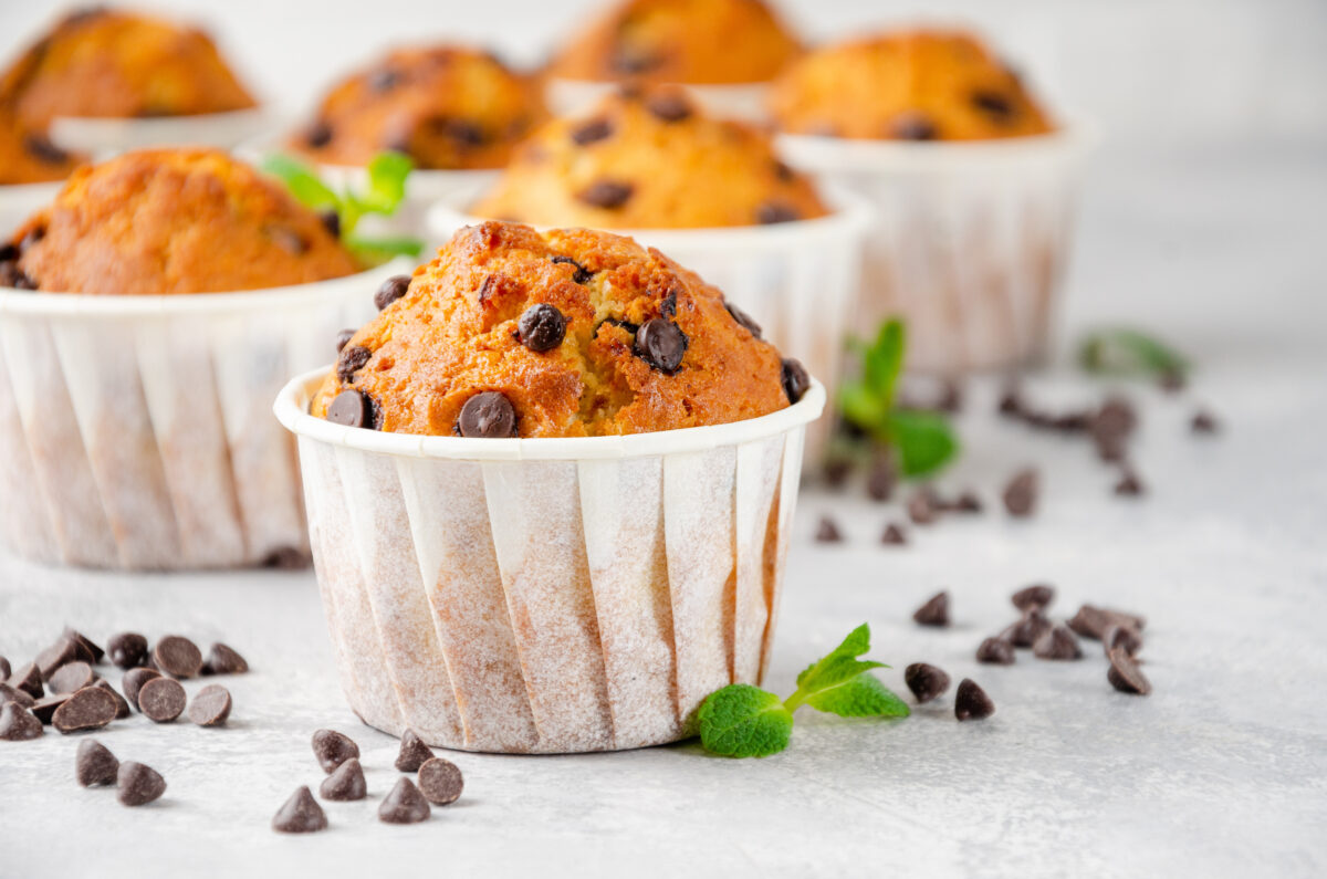 Muffins with chocolate chips on a gray concrete background. 