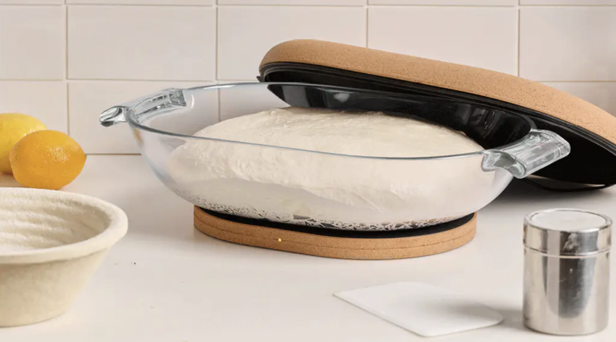 sourdough vessel on a kitchen counter