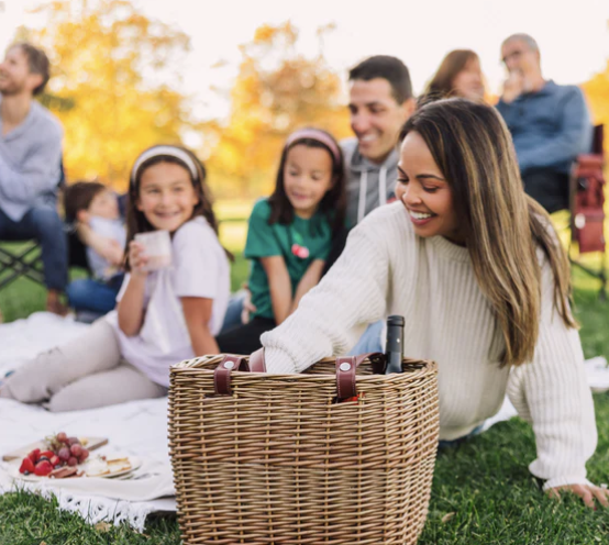 a family out having a picnic in the park