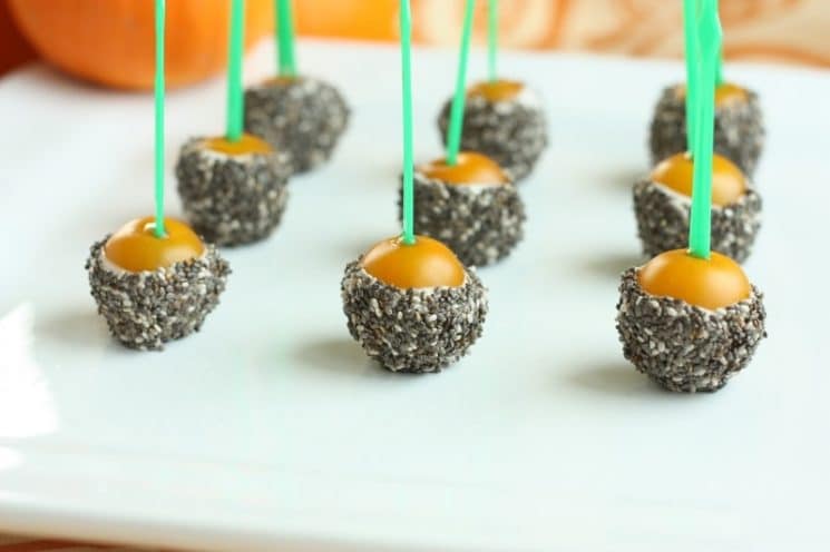 Chia Seed Energy Bites