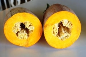 Cooking Squash in the Slow Cooker. Did you know cooking squash could be so simple?