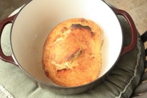 Easy Artisan Bread. This bread is easy and sure to impress!