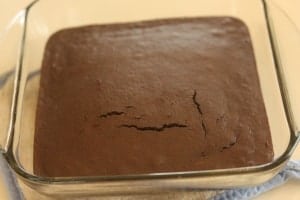 Black Bean Brownie Recipe and Dye-free Green Frosting. Dye free green frosting! You'll love how we got these green.