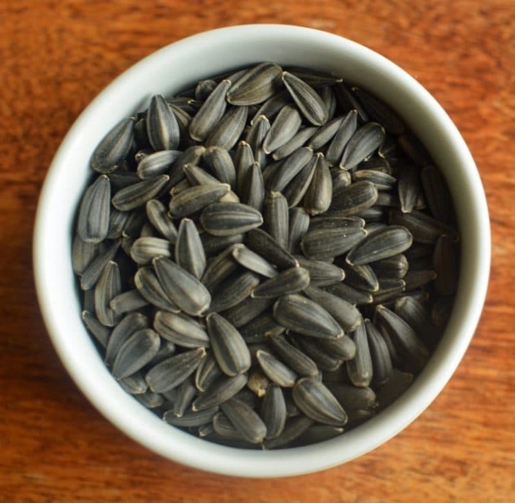 Sunflower Sprouts Grow And Eat Super Healthy Kids
