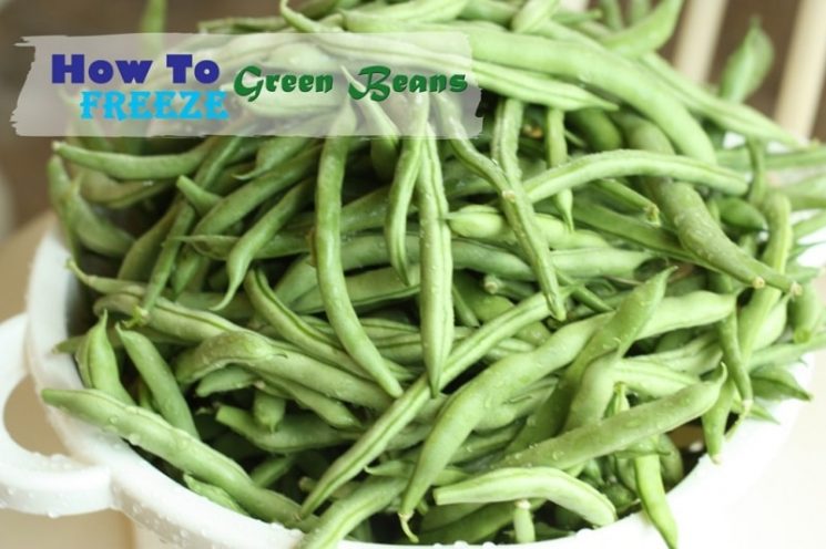 22 Healthy Freezer Friendly Foods. Green beans are freezer friendly.